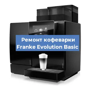 Декальцинация   кофемашины Franke Evolution Basic в Челябинске